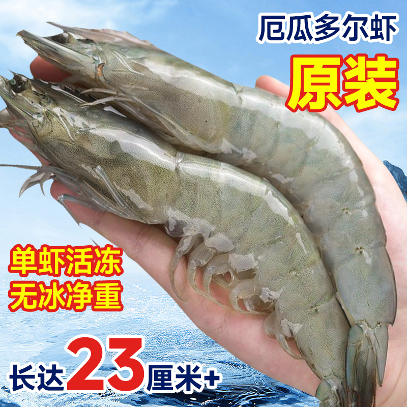 厄瓜多尔白虾原装盐冻大虾王大虾2630只野生海捕冰冻大虾1500