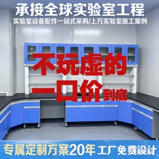 实验室实验台工作台钢木全钢操作边台化学实验桌试验台通风柜定制