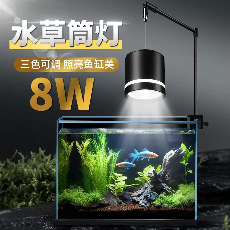 SQG LED aquarium, ceiling light, ceiling lamp, lights, comfortable light spectrum