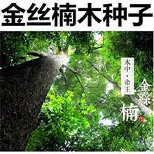 �²ɽ�z�ľ��N���Ĵ�С�~骼��~��z骘E���ľ�N��