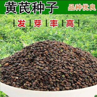 �����S�ηN�� �����²� �S�ξd�S�����S�ηN�� �ļ����N