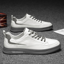 ����������Ь2025�¿�ٴ����eƤЬ��ʿ�\��Ƥ��С�װ�Ь��Ь���l