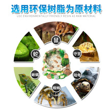 ���xʳ�������ˮ��������ʳ�P��������،mݗ����B�䌙���ˮ�P