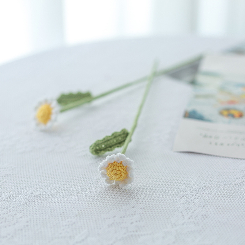 데이지 흰색 작은 꽃잎 단일 꽃 단일 가지