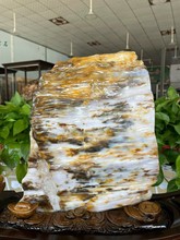 天然木化石树化玉奇石摆件客厅玄关风水摆件