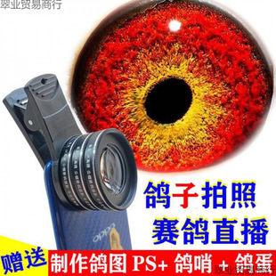 ِ���Ŵ��R��������΢���R�����������R���Rͨ�������B��