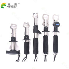 Hengjia Fishing Gear Stainless Steel Fish Controller Lua Fish Clamp Metal Lua Clamp Lua Clamp Micro Object Extended Stainless Steel