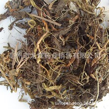 Traditional Chinese Herb Medicine Export SPIKENARD