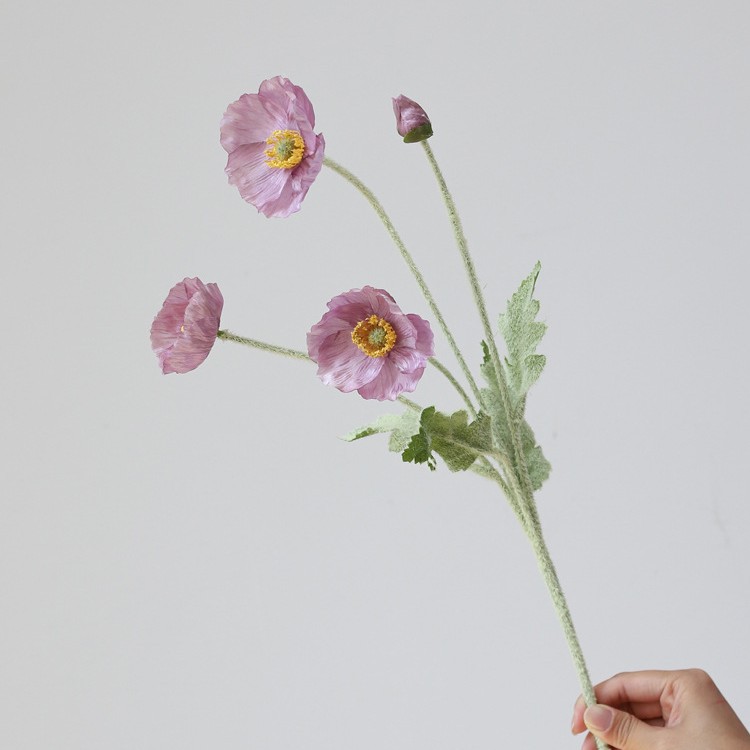 [1] 라즈베리 퍼플