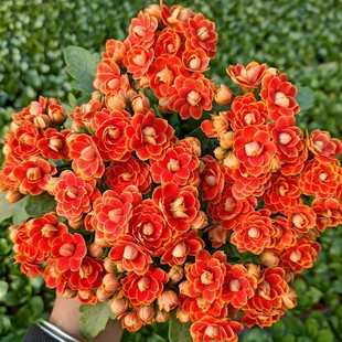 �L�ۻ������ذ�����󻨎����������ļ��҃��_�����B�Ļ���ֲ��