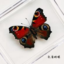 �����˱�͸�����b���wС�[����ͯ�Y���׃��@�̌W�����ֹ��Ĕz����