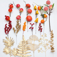 С滨~ȼʯӸͰhYв廨