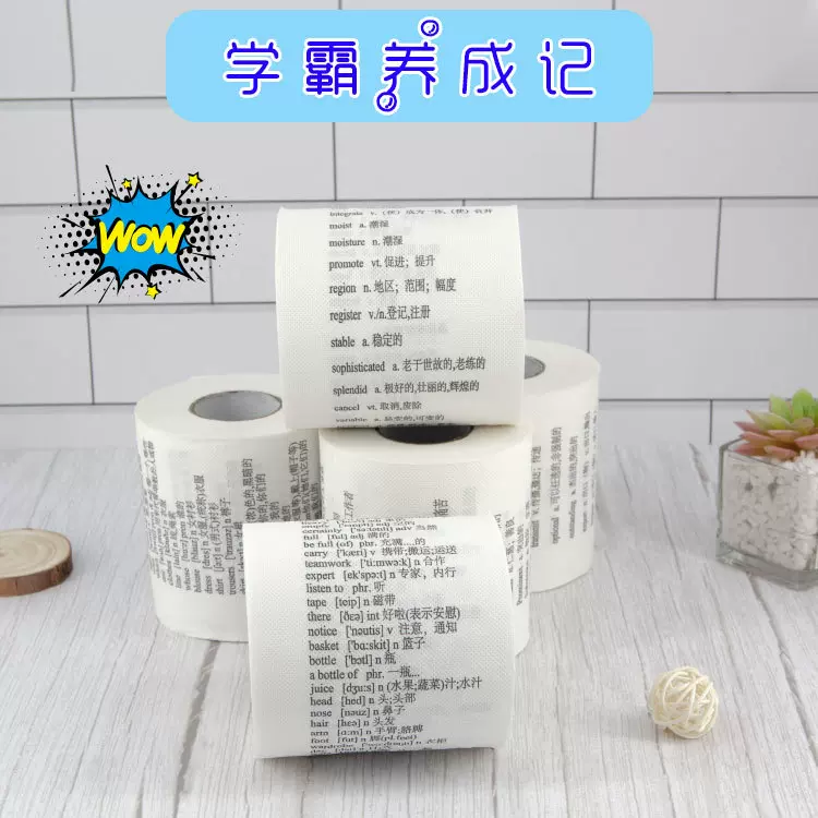 学霸印刷厕纸 创意个性印花卷纸 初中高中英语单词纸巾印花卫生纸