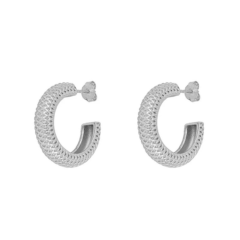 European And American S925 Silver Needle Mesh C-shaped Earrings Female Wholesale display picture 3