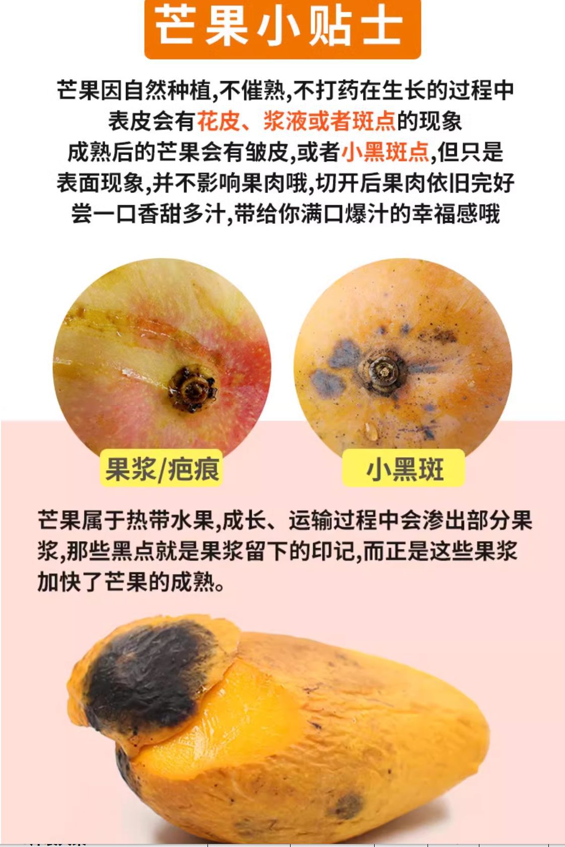 微信图片_20240406113017