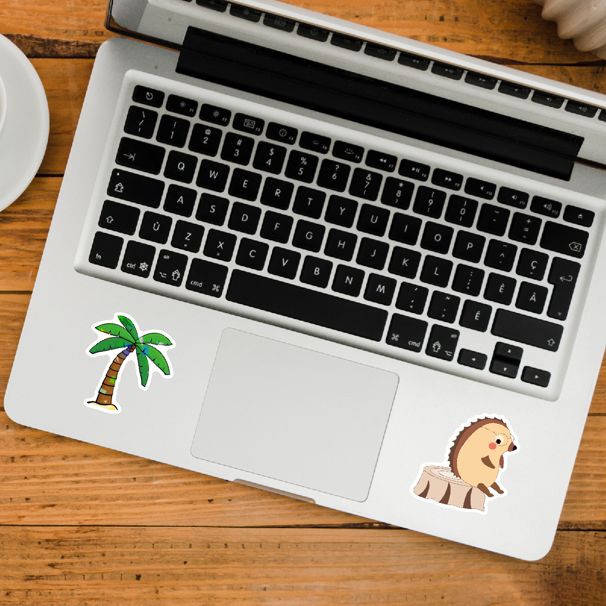 Q5 ins小清新贴纸100张-全息款 主图3-02.jp