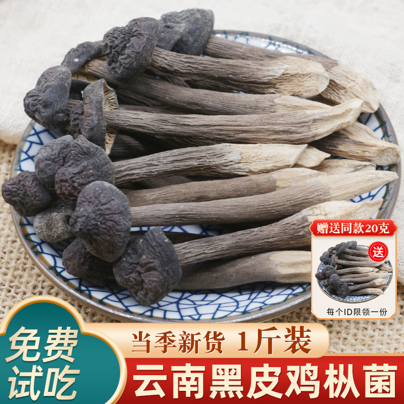 黑皮鸡枞菌干干鸡纵菌鸡枞菌菇云南特产鸡枞菌野生菌蘑菇类
