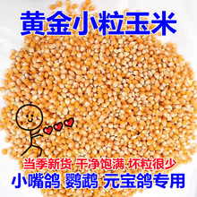 С������10��С������С���������^�pԪ����С����С����