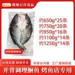 源头工厂烤鱼半成品调理鮰鱼腌制鱼烤鱼冷链配送批发商用餐饮生鲜