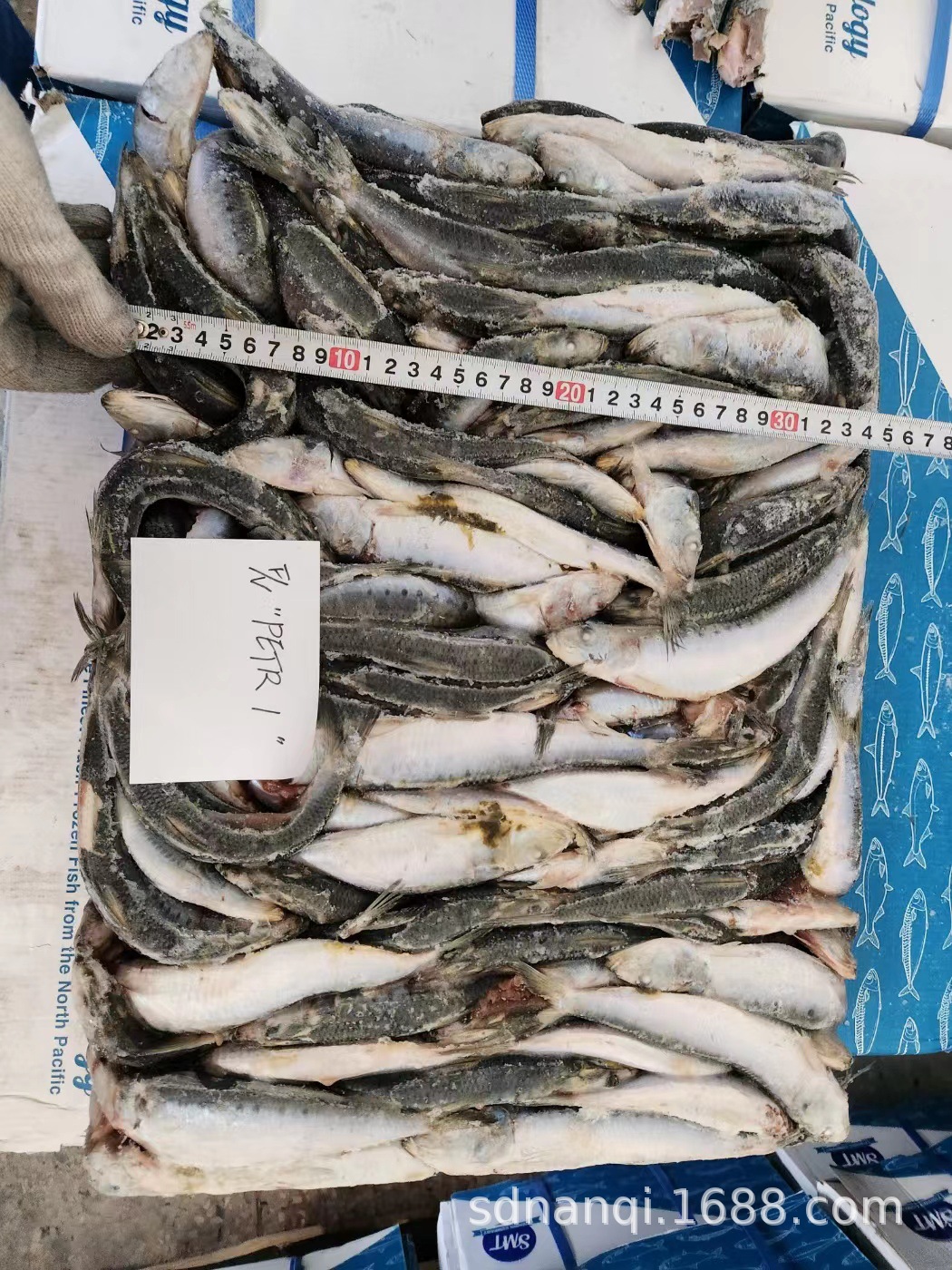 山东南启水产贸易有限公司 微信图片_20230102154124.jpg