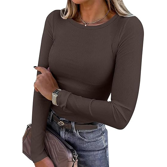 Women's Long Sleeve Top Autumn Winter Outerwear Inner T-Shirt Milk Silk Polyester Base Layer Shirt_ecoleips.com