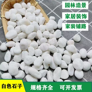 定制白石子大鹅卵石庭院铺路铺地小石子园林景观鱼池造景石白色