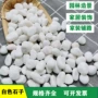 景观铺路铺地庭院白石子