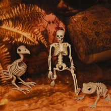 �f�}���Ǽ��b��� �������ģ�� ���t����ϐ�����Ǳ���S�����l