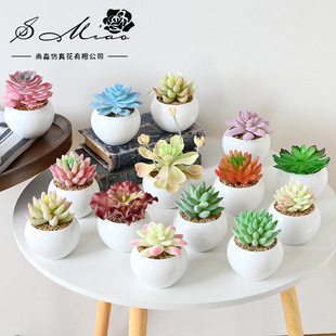 �����辰�մɼҾӔ[���b��A�S�ҾGֲ���uͨ�ٻ�����