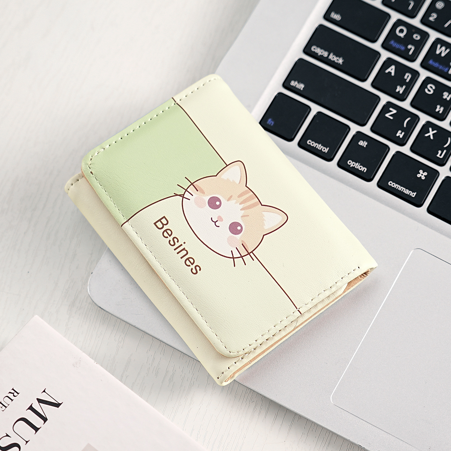 W-3517 : 30 % de réduction de base - Chaton