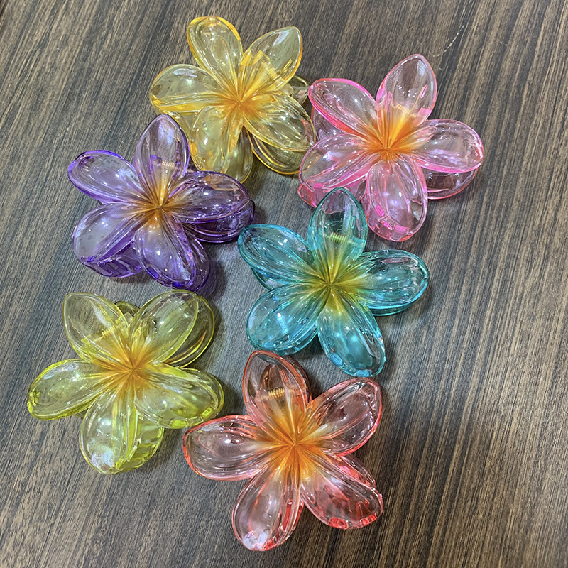 微信图片_20240527202619