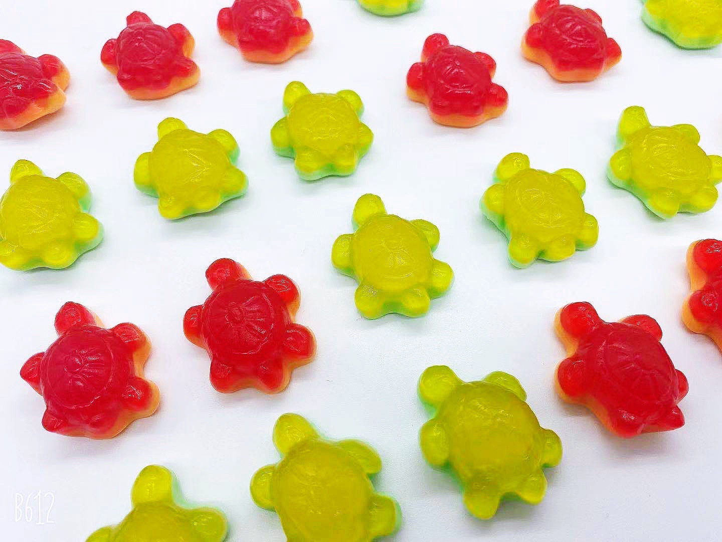 작은 색 거북 5kg