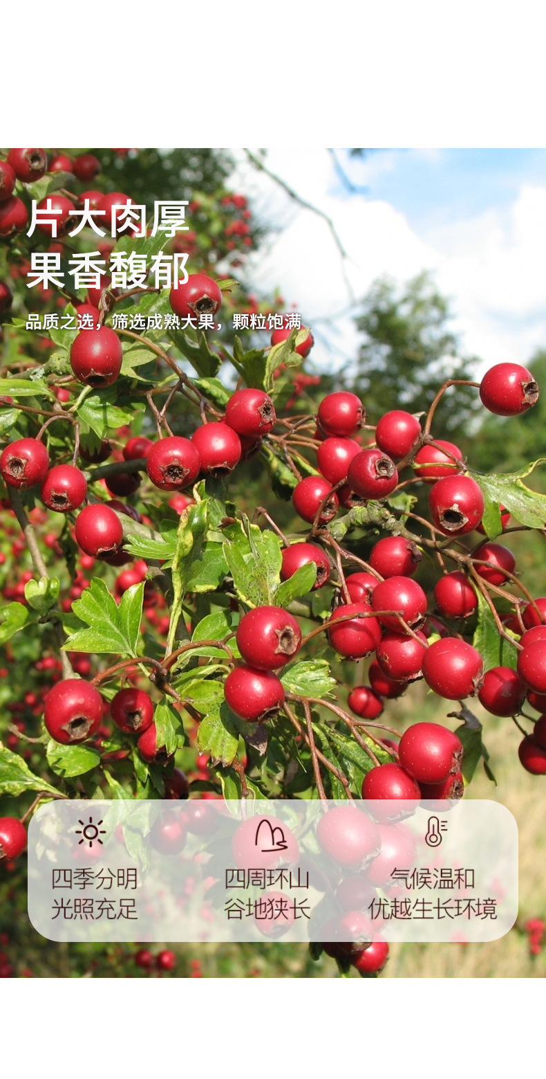Dried Hawthorn Rings Shan Zha Seedless Coreless Fruit Tea 200g Jar specifications