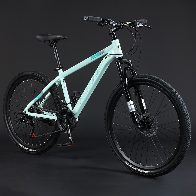 Steel Frame Spoke Wheel-Green-24 Inch-24 Speed