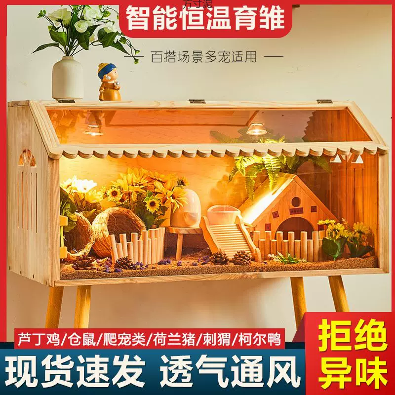 网红芦丁鸡宠物专用饲养箱卢丁鸡窝恒温仓鼠透明笼子造景鸡笼鸟笼