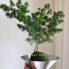 �H�۵ľGֲ���R�����Կ͏d�҃���������ȩ�����՚�ֲ���^�~�辰