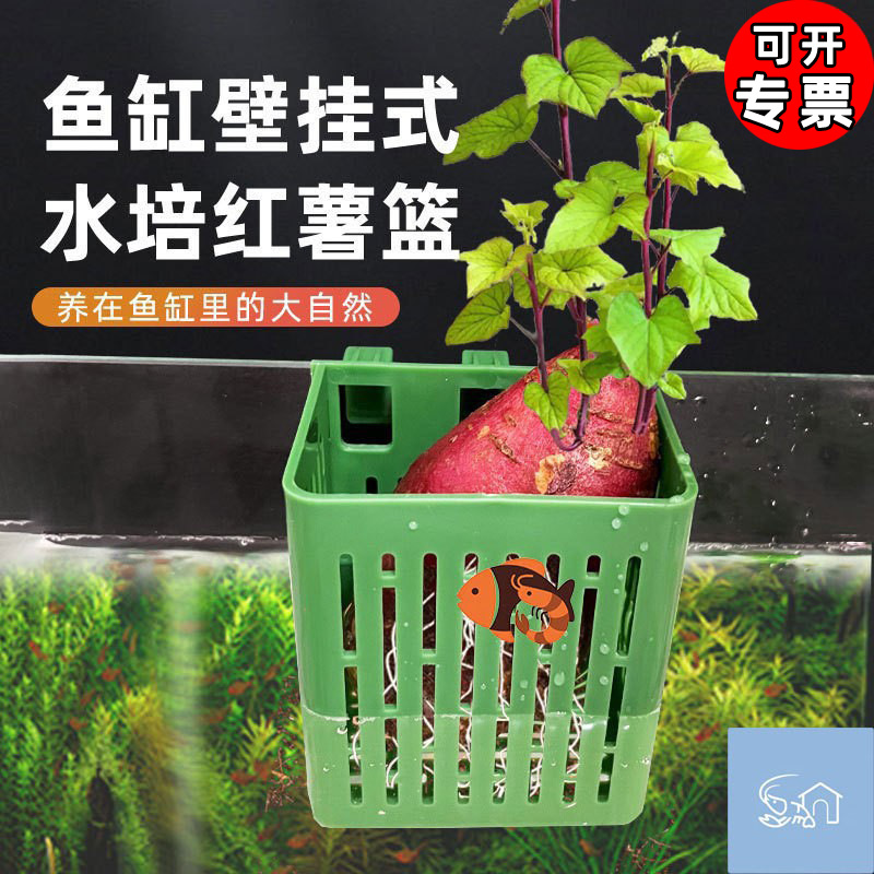 鱼缸水培定植篮壁挂式水草杯水上挺水植物种植篮鱼缸造景装饰配件