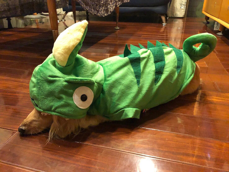 015FB98BCD340E6CF8710A3930428E