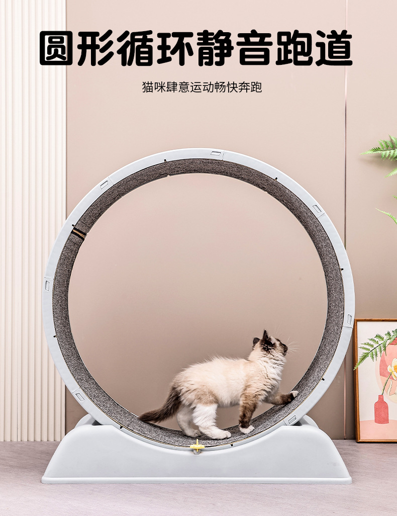 详情_01_03