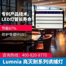 能多洁亮灭耐灭蝇灯LED粘捕式商业餐厅工厂捕蚊神器