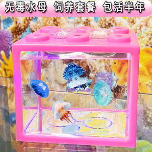 ������ҡ�ˮĸ����׿ɐۺ��B����С�����ײ��¹�ˮĸ