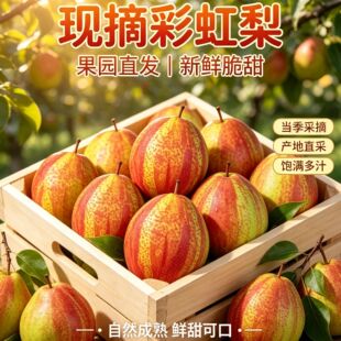 ���r��ժ�ʺ��������ִ��֭�����FժƤ��ˬ�ڕr��ˮ���Ĺ����r