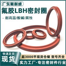 工厂直营白高温氟橡胶LBH/DHS液压防尘油封密封圈内径11.2-230mm