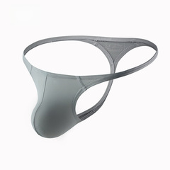 廠家直供男士內褲 錦綸性感低腰同志單丁T褲跨境外貿大碼丁字褲男