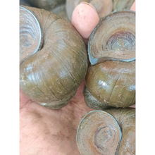 #����������r����ݷN����~��������ʳ�����r�ݽz�^�p�ݰ���