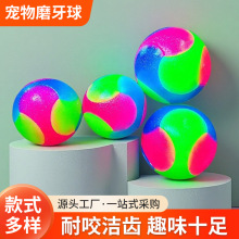 厂家批发狗狗小狗宠物猫玩具球65/55mm彩红TPR耐咬磨牙宠物狗礼物