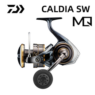 DAIWA�_�|�ߝO݆22�¿�CALDIA SW����F��݆��܇݆����hͶ·��݆