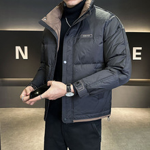 ����50�q ��q�����b2025����������B320-99015-P195���|�z���