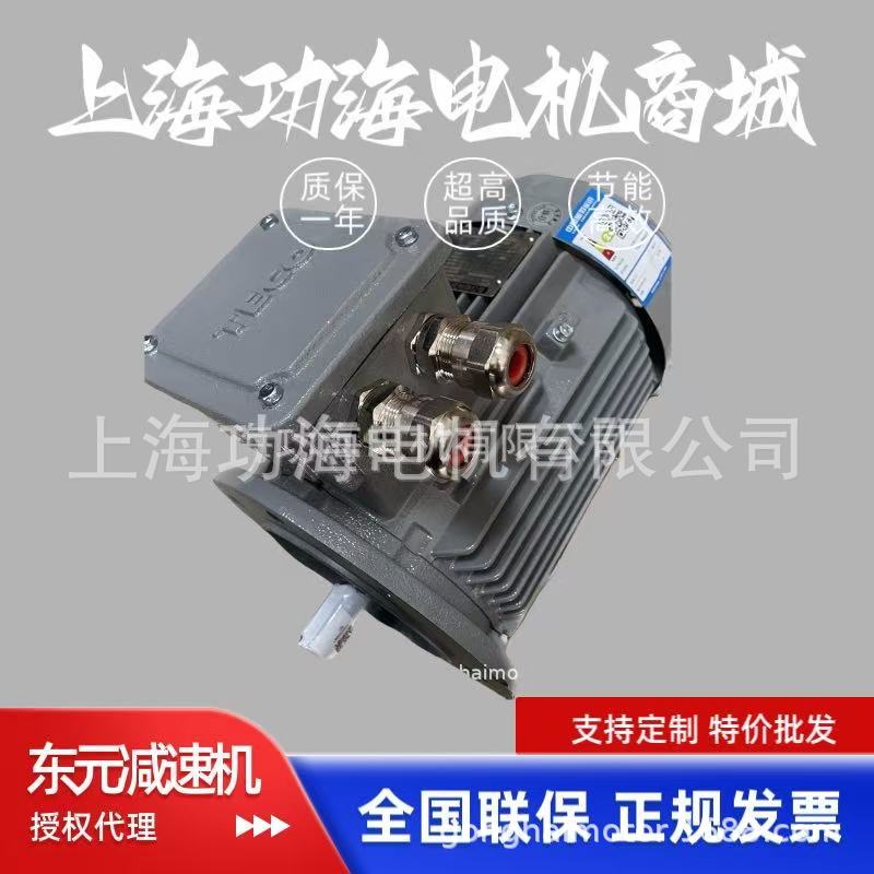 台湾TECO东元 TEBD粉尘防爆电机IE4能效  0.75KW-4P-B5