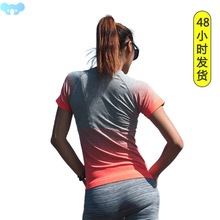 Gym yoga Women's Sport Shirts Quick Dry Running T-shirt跨境